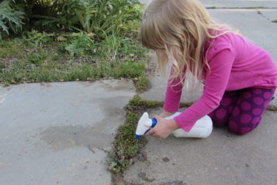 Kill Weeds Without Using Roundup • Brown Thumb Mama