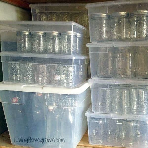 canning jars in plastic bins with lids