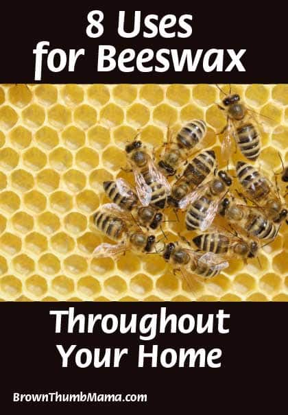 8 uses for beeswax throughout your natural home: BrownThumbMama.com