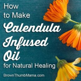 Make Calendula-Infused Oil for Natural Healing: BrownThumbMama.com