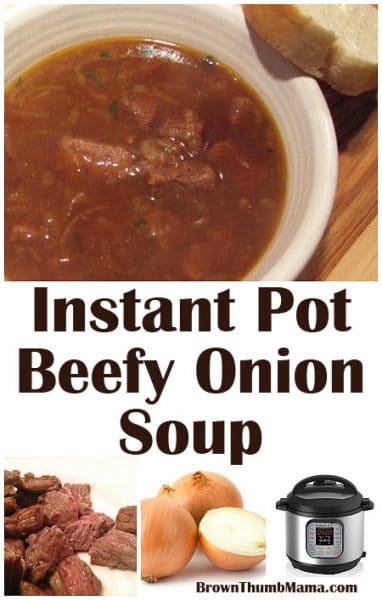 Instant Pot Beef Onion Soup Brown Thumb Mama