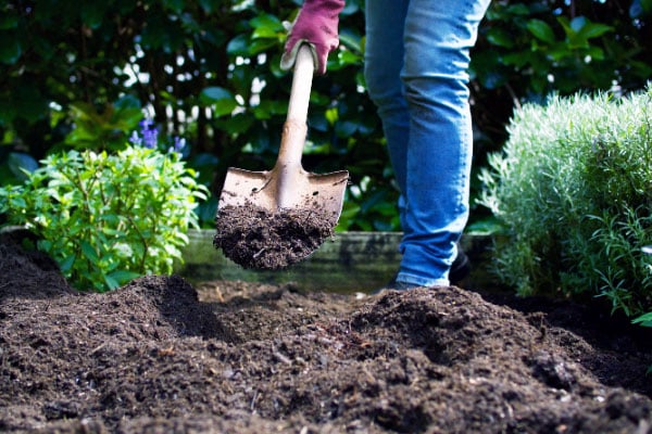 3 Ways To Prepare Soil For Planting, How To Prep Soil For Garden