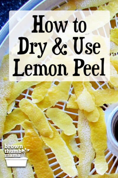 lemon zest in dehydrator