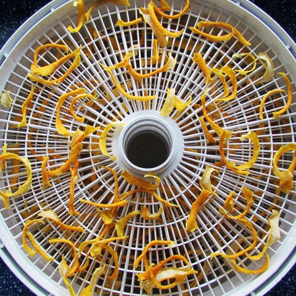dried lemon peels on dehydrator tray