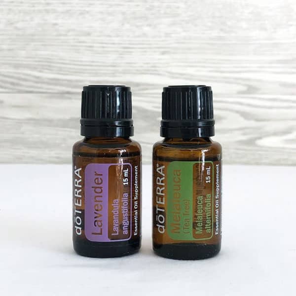 lavender and melaleuca essential oil bottles