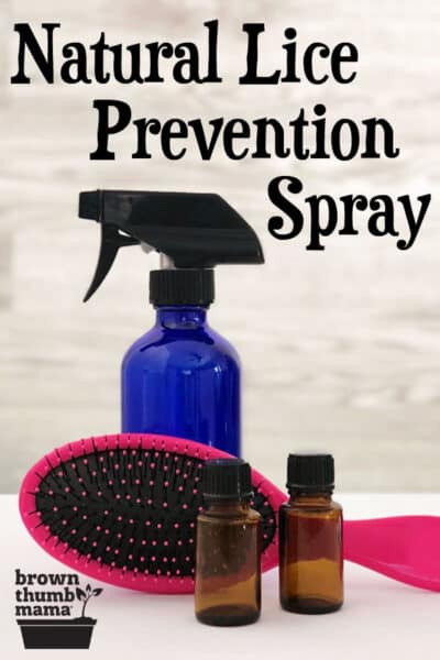 brush, spray bottle, essential oil bottles