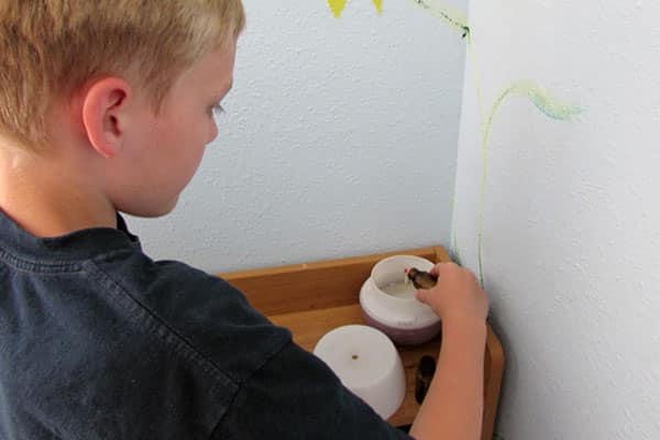 boy refilling essential oil diffuser