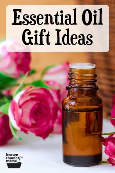 essential oil bottle and roses