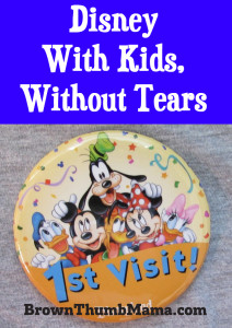 The happiest place on earth can also be the most frustrating if you aren't prepared. Don't miss these smart ways to prepare for and enjoy your Disney vacation without tears, meltdowns, or tantrums.