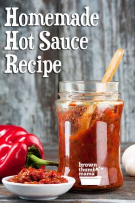 Homemade Hot Sauce Recipe - Brown Thumb Mama®