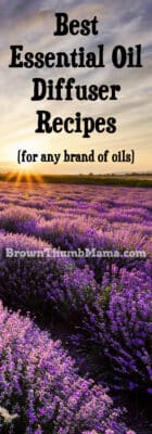 Essential Oil Diffuser Recipes: BrownThumbMama.com