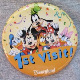 Disney first visit button