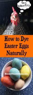 You can dye Easter eggs naturally, with stuff that's already in your kitchen. No more tablets that stain everything--just beautiful, natural Easter eggs.