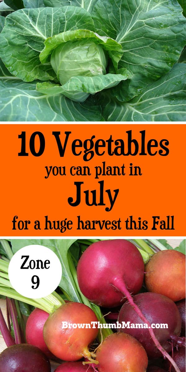What Is July s Plant Ouestny