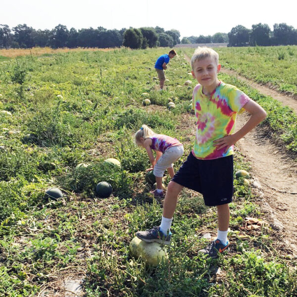 kids picking watermelon in field