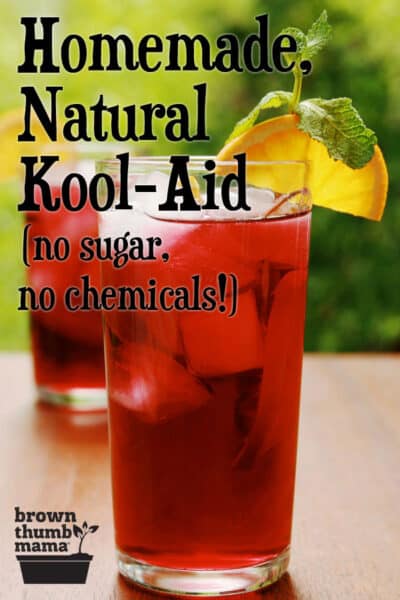 Copycat Natural Kool-Aid | Brown Thumb