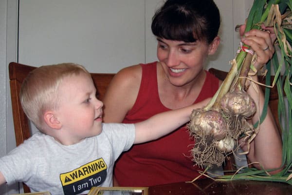 Garlic is easy to grow! Here are important tips to ensure you harvest and cure your garlic correctly so it won’t spoil or sprout before you can use it.