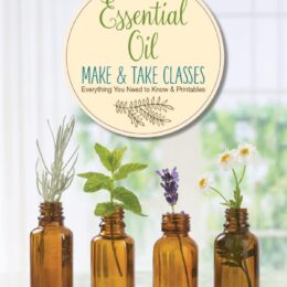 Essential oil make and take class book cover