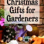 Christmas gifts for gardeners