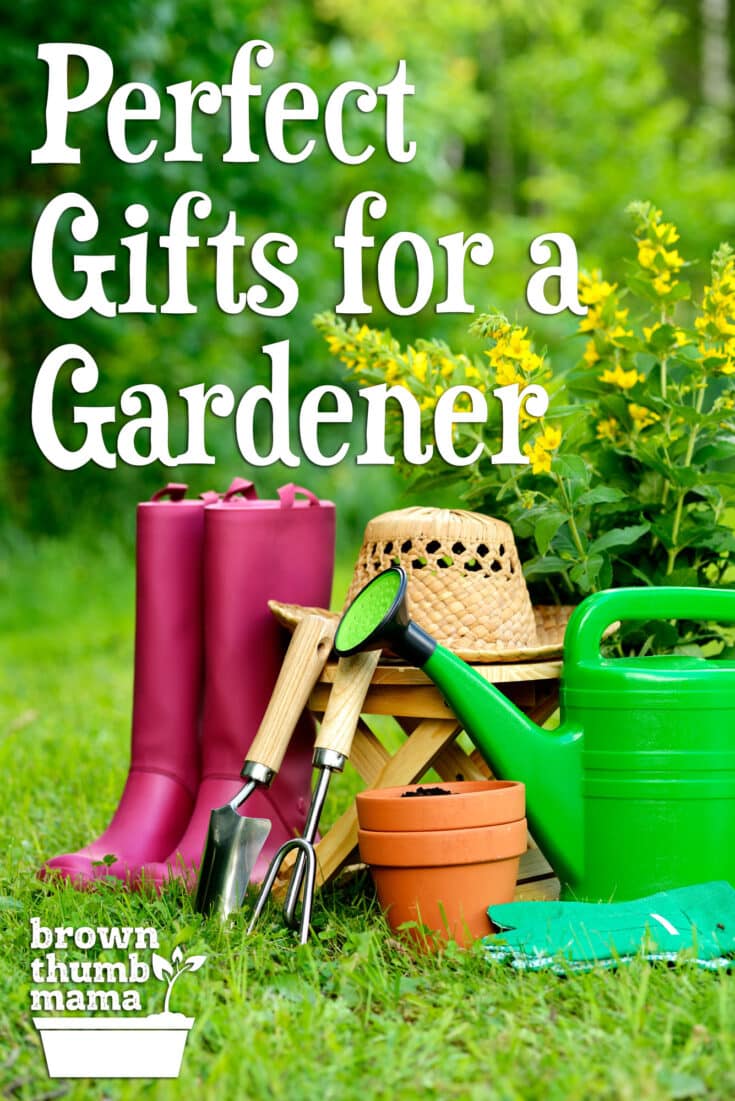 Best Gifts for Gardeners Brown Thumb Mama®