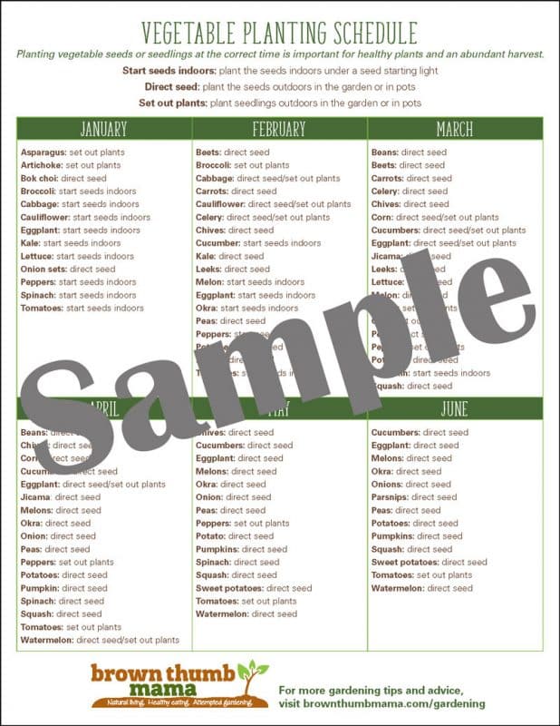 vegetable planting schedule