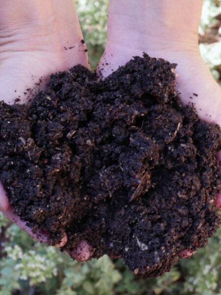 cropped-hands-holding-compost-OPT.jpg
