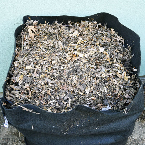 compost sak filled with leaves