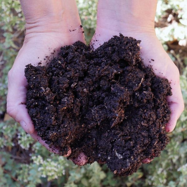 hands holding compost