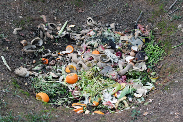 vegetable scraps in pit compost