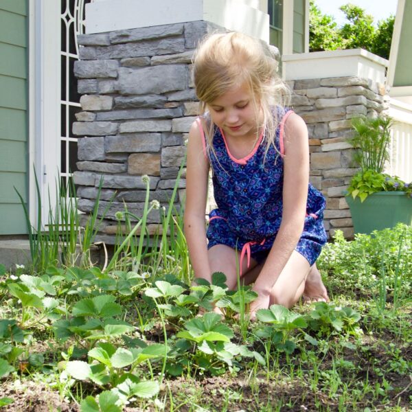 girl planting strawberries