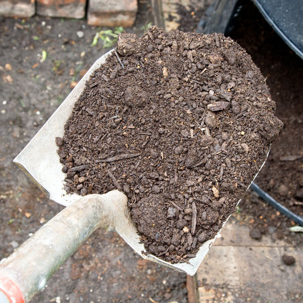 shovel full of finished compost