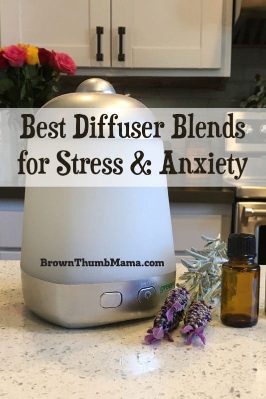 Best Diffuser Blends for Stress & Anxiety • Brown Thumb Mama®