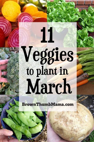 11 Vegetables To Plant In March {zone 9} Brown Thumb Mama®