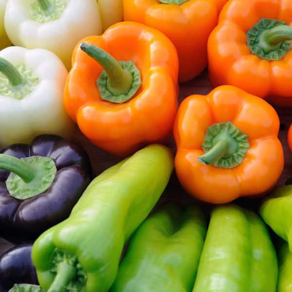 colorful sweet and hot peppers