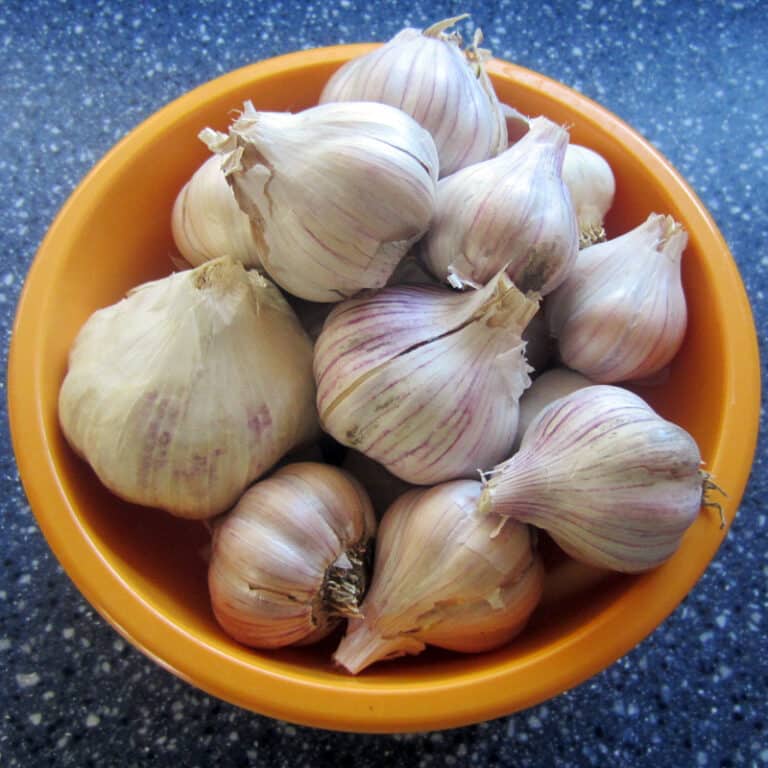 How to Freeze Garlic Brown Thumb Mama®