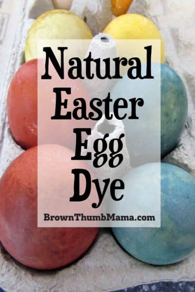 colorful, naturally dyed easter eggs in an egg crate