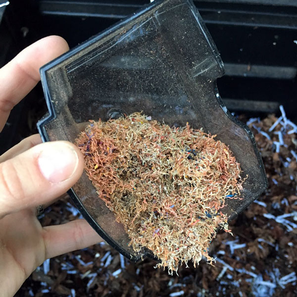 pencil sharpener shavings ready for the compost