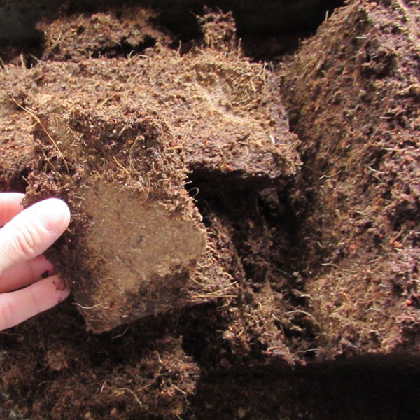 hand breaking apart coco coir