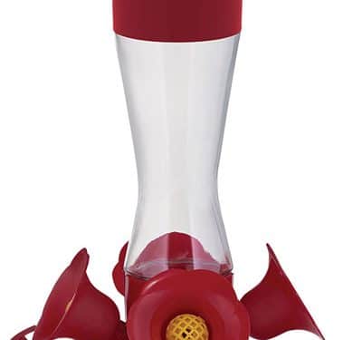 Here’s a review of the most popular hummingbird feeders, and what to look for when buying a hummingbird feeder.