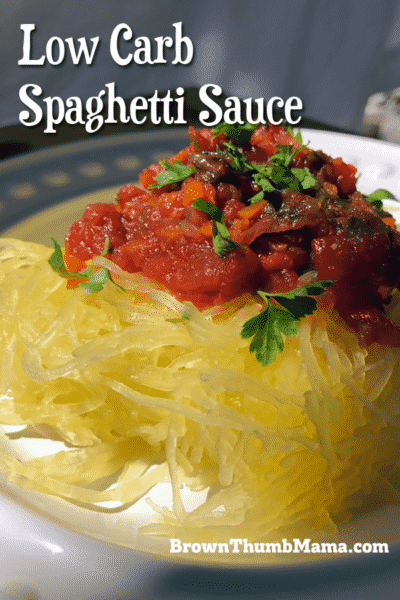 Make amazing, low carb spaghetti sauce for spaghetti squash, meatballs, zoodles, and more with this easy recipe.
