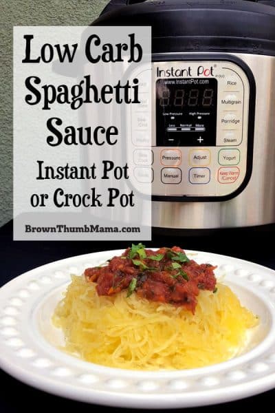Make amazing, low carb spaghetti sauce for spaghetti squash, meatballs, zoodles, and more with this easy recipe.