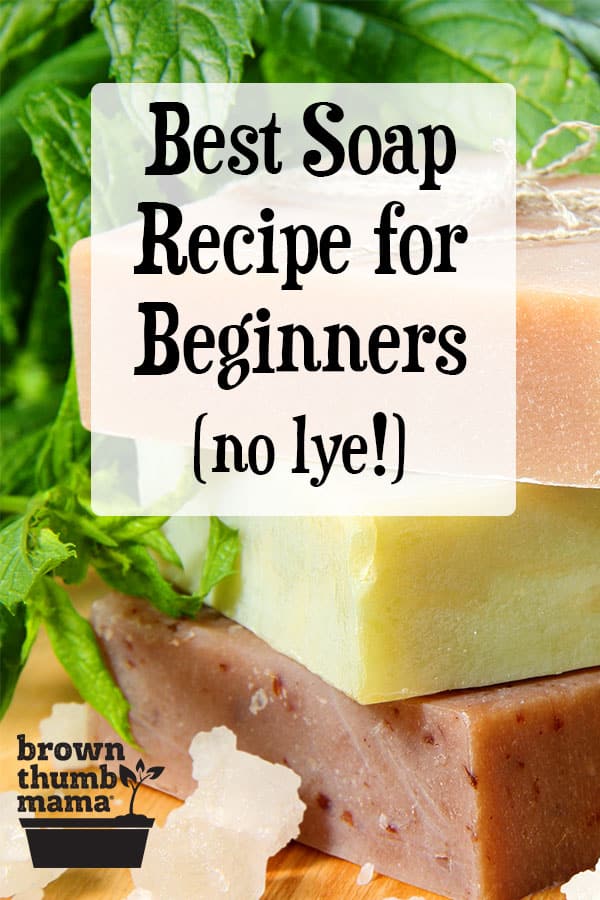 Make Soap Without Using Lye Brown Thumb Mama®