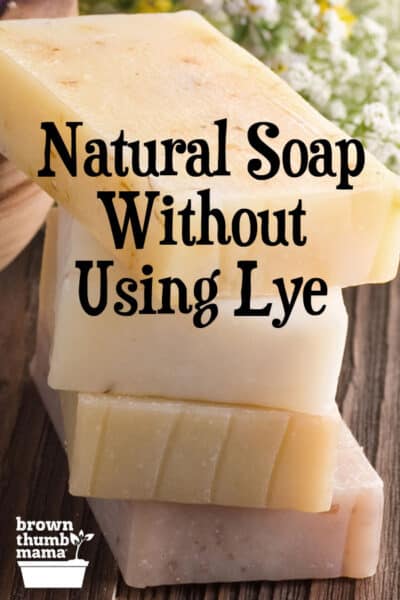 Make Soap Without Using Lye | Brown