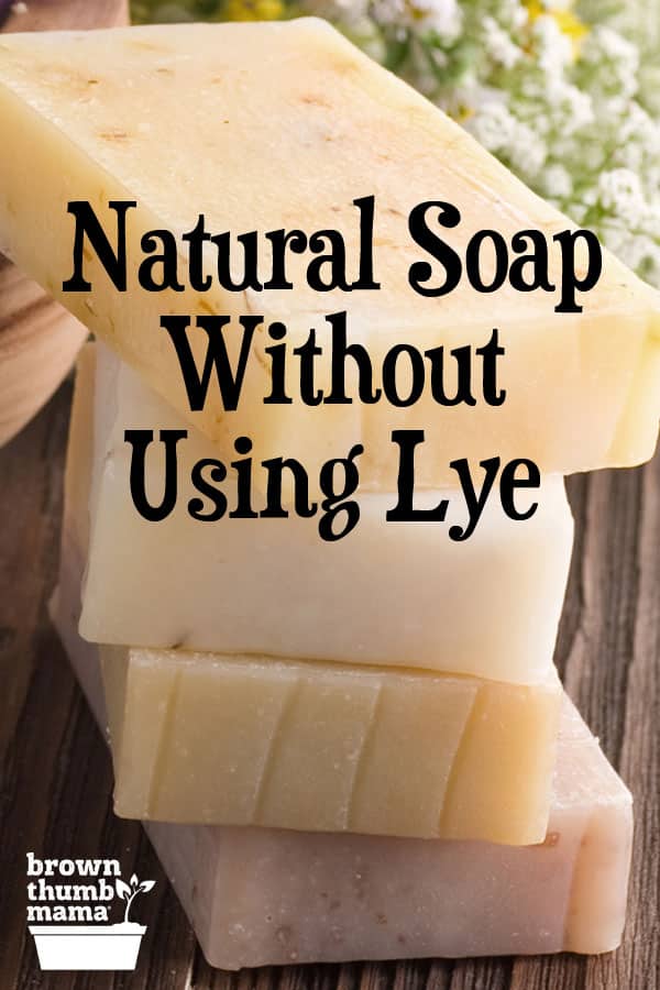 Make Soap Without Using Lye Brown Thumb Mama®