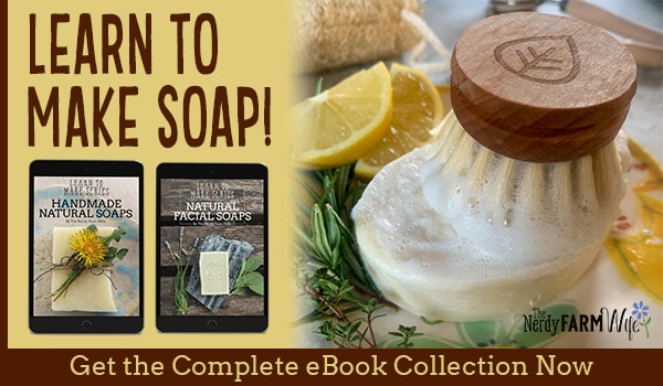 Make Soap Without Using Lye - Brown Thumb Mama®