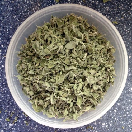 How to Dry & Store Oregano Brown Thumb Mama®