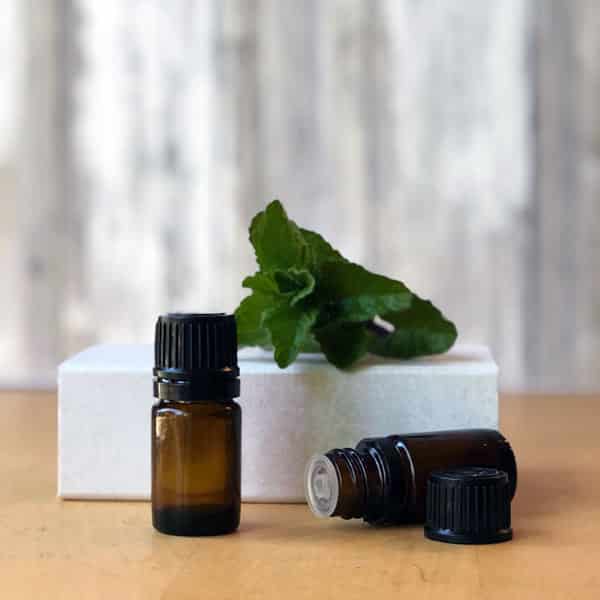 essential oil bottles and mint leaves