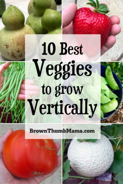 best vegetables to grow vertically