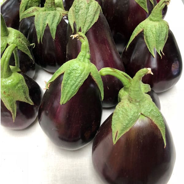10 Vegetables To Plant In July Zone 9 Brown Thumb Mama 10 Vegetables To Plant In July Zone 9 Brown Thumb Mama