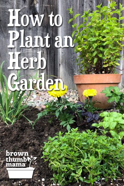 How to Plant an Herb Garden | Brown Thumb Mama®